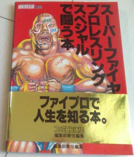 Fire pro wrestling fighting - wrestling, b