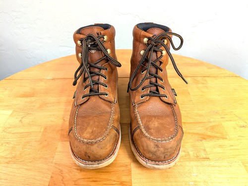 Irish setter wingshooter - setter, st