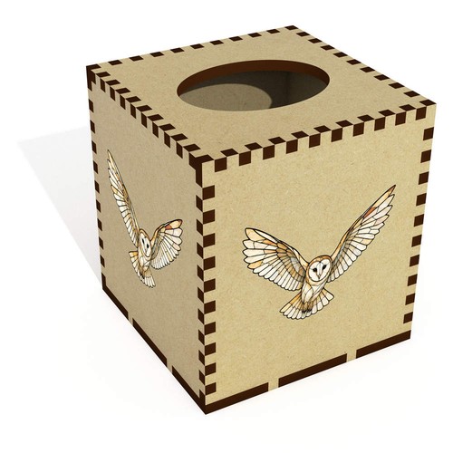 Barn owl flight - 'barn, square