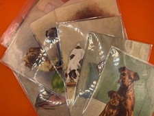 Choice of Original Dogs Puppy