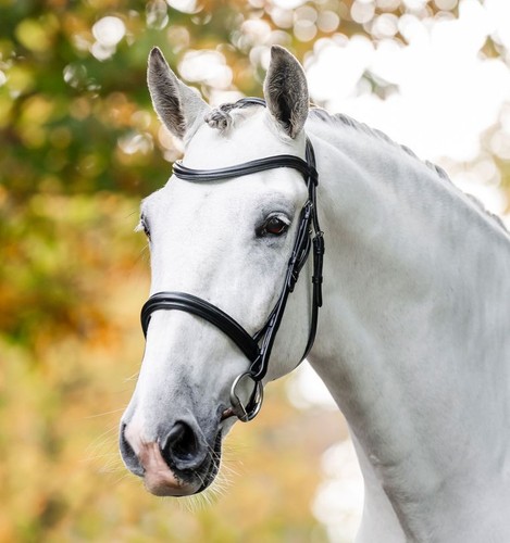 Horseware cavesson bridle - horseware,