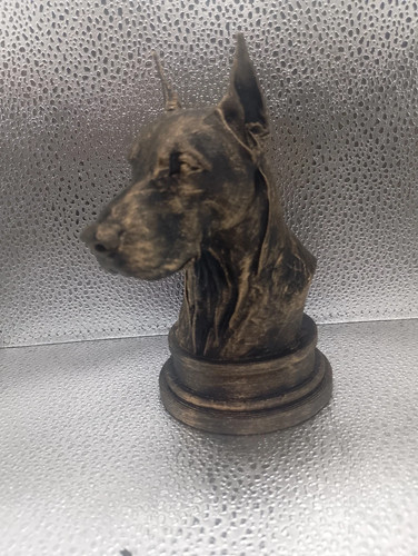Doberman bust - doberman,