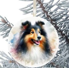 Rough Collie Dog Hanging