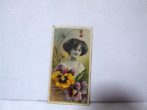 Taddy 1899 actresses - 1899, ,