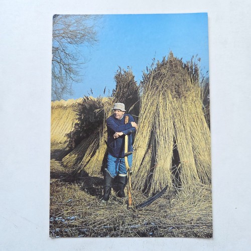 Norfolk reed cutter - norfolk,
