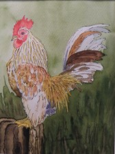Animal watercolor painting - watercolor,