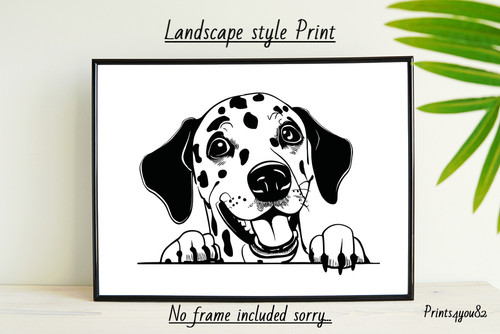 Dalmatian dog pet picture - dalmatian, a4