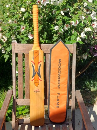 Woodworm freddie flintoff the - woodworm,