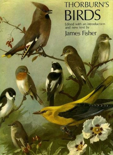 Thorburn birds james - thorburn's, birds,james
