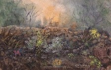 Landscape Watercolour Mixed