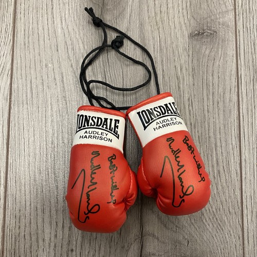 Audley harrison mini boxing - harrison,