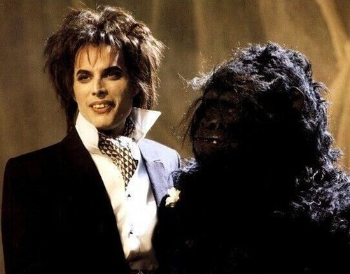 Freddie mercury unsigned - x,