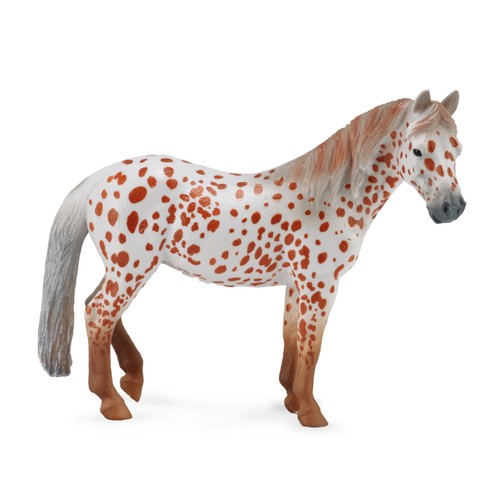 Collecta british spotted - british,