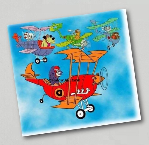 Fridge magnet catch that - fridge,