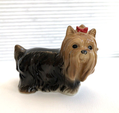 Yorkshire terrier dog - terrier,