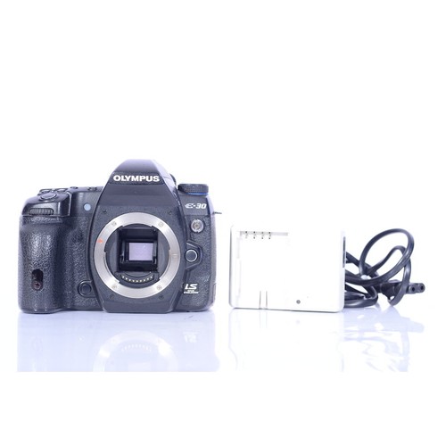 Olympus digital camera - e-30,