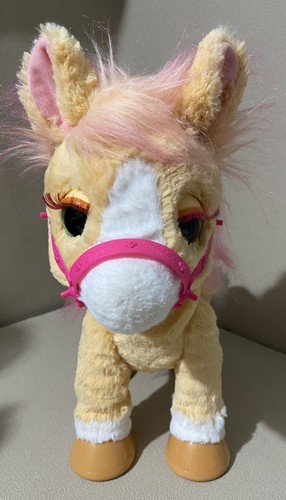Furreal cinnamon my - cinnamon, /