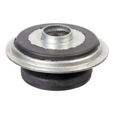 Genuine Blue Print Strut