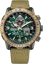 Citizen Promaster Sky