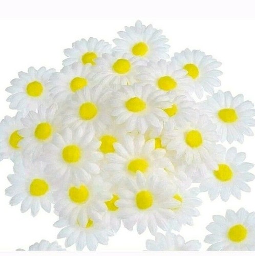 White daisy easter - 12, fabric