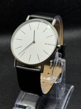 Skagen Signatur Titanium Men's