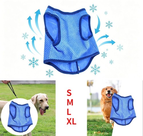 Summer dog cooling - dog, pet