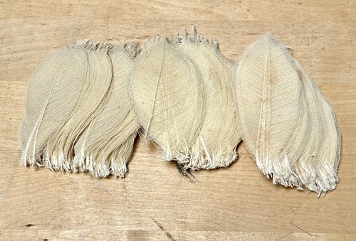 Approx 300 natural - (grade_b),
