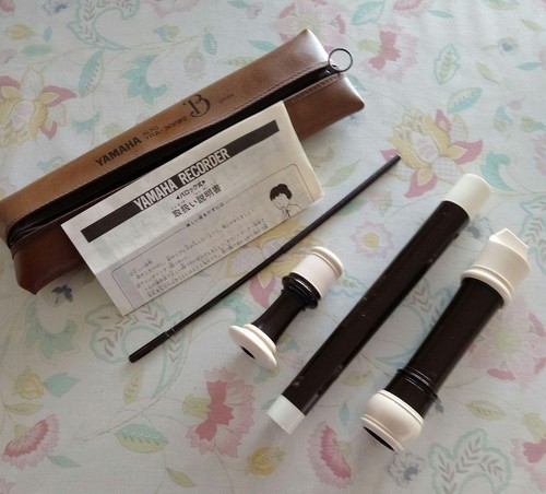 Yamahalrecorder case - yamahalrecorder, vb