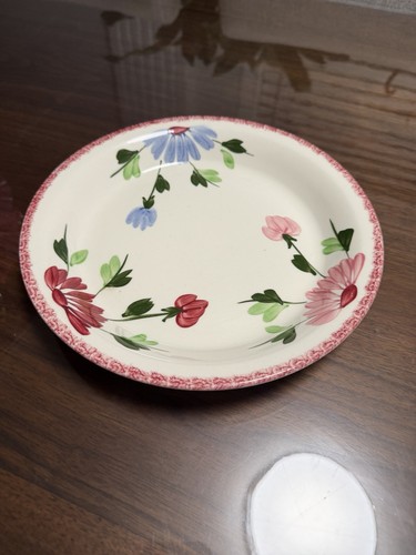 Blue ridge pie - ridge-pie, plate-deep