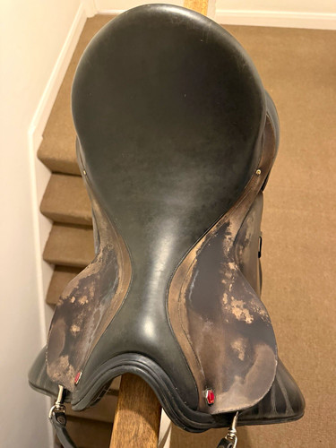 Albion black leather dressage - albion,