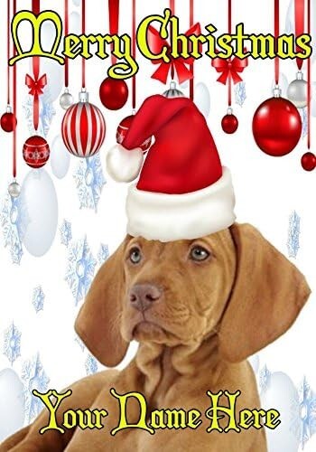 Vizsla dog ptcc233 santa hat - santa,