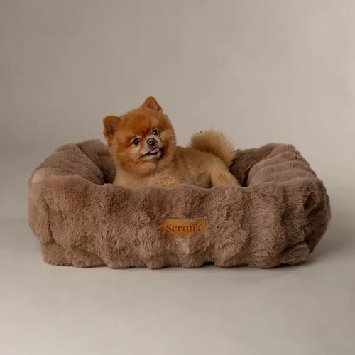 Pet dog bed cat - pet,