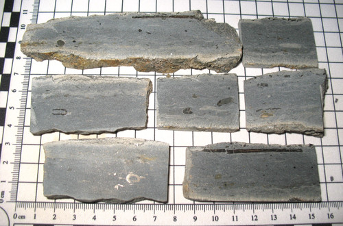 Triassic westbury rhaetian - westbury,