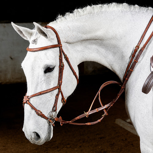 Mexican grackle leather horse - mexican,