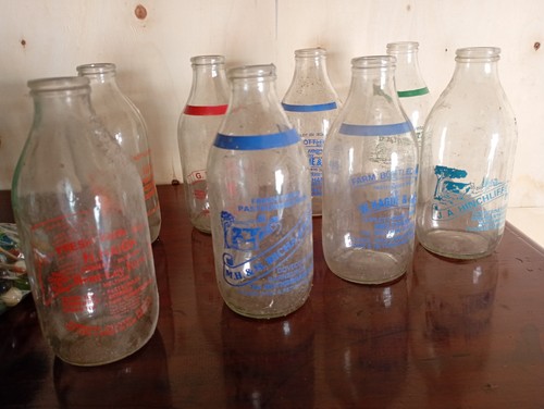 Vintage milk bottles - milk,