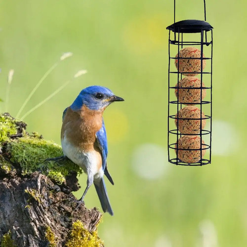 Hanging bird feeder - hanging, ball