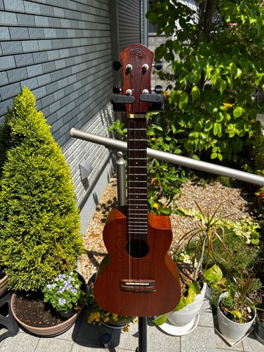 Anuenue concert size - anuenue,