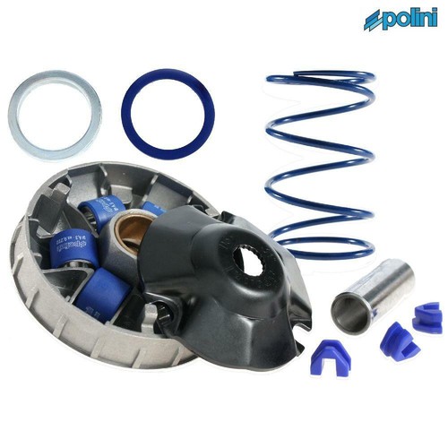 Polini p241670 variator - polini,