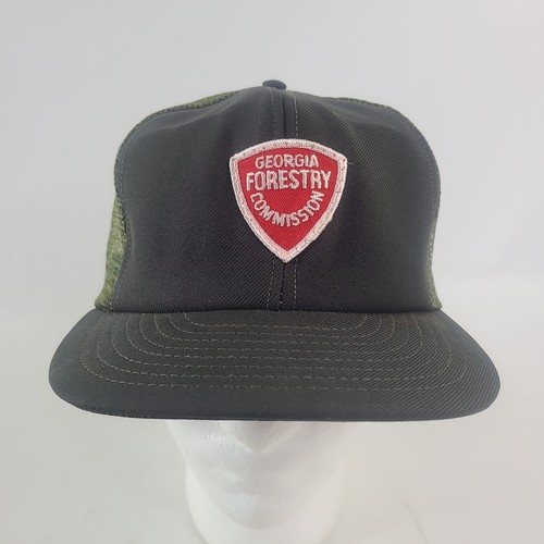 Vintage georgia forestry - vintage,