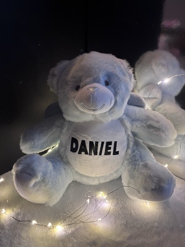 Memorial teddy bear with wings - teddy,