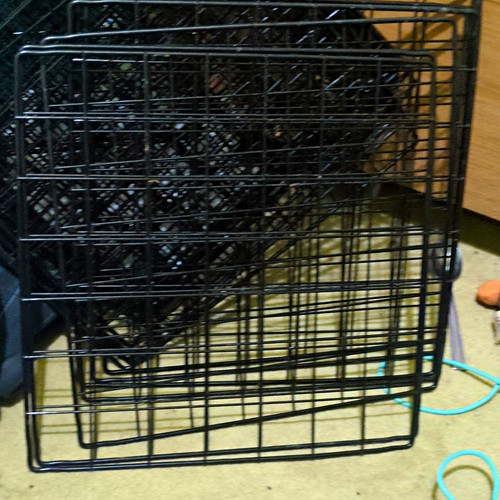Black folding steel - wire, dog
