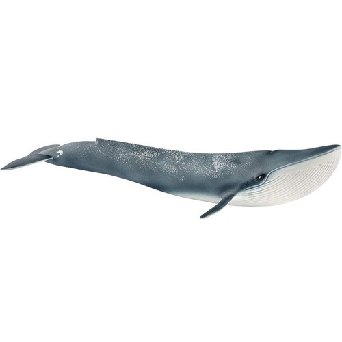 Schleich wild life - wild, blue