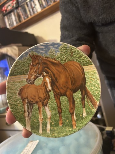 Poole pottery plate - poole,