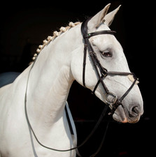 EcoRider Ultra Comfort Galway