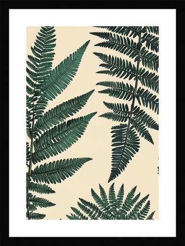 Enchanting fern fronds print - enchanting,