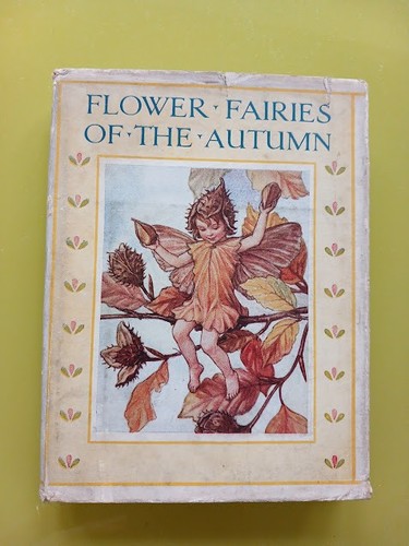 Flower fairies the - fairies, autumn