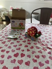 Win Win Toys Rolling Tortoise