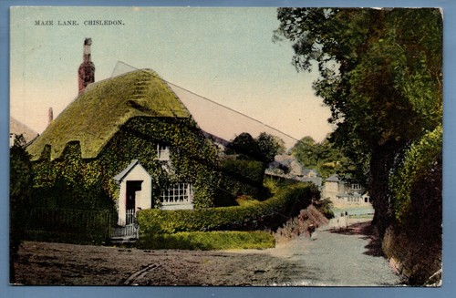 Postcard maze lane chisledon - maze,
