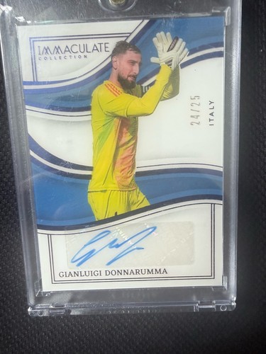 Gianluigi donnarumma panini - gianluigi,