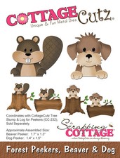 Big Shot Dies Sizzix Cottage